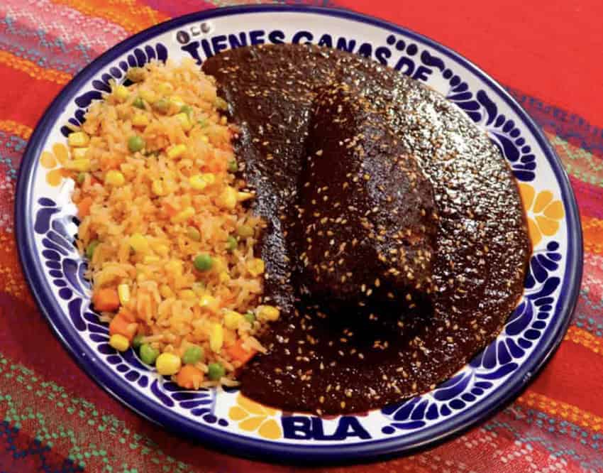 A decorative plate filled with mole poblano and rice.